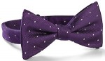 Dr. Who 11th Doctor Purple Bow Tie
