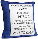 Tardis door sign pillow